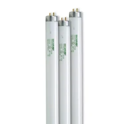 4' SunLite® T-8 Bulbs, Set Of 3