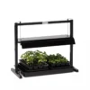 Compact Tabletop SunLite® Garden