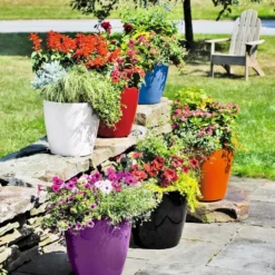 Viva Round Self-Watering Rolling Planter, 14" Diameter