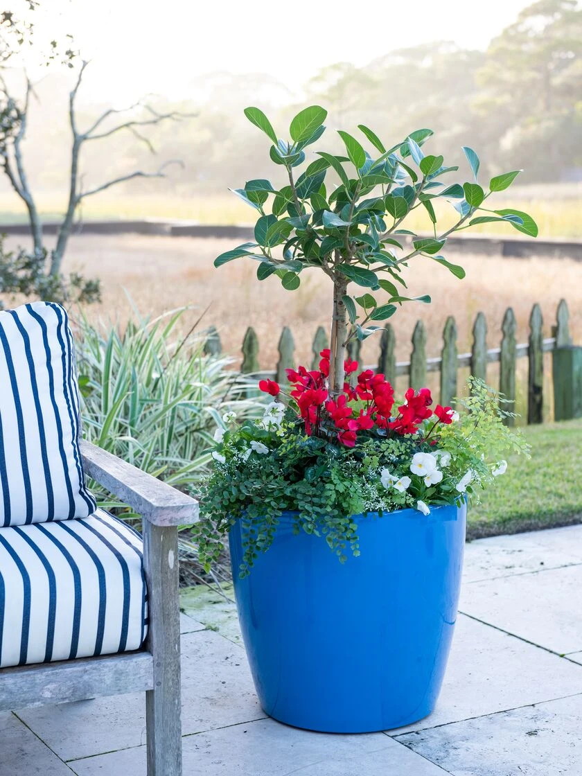 Viva Round Self-Watering Rolling Planter, 20" Diameter, Set Of 2 - Image 5