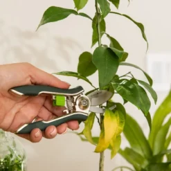 Houseplant Pruner