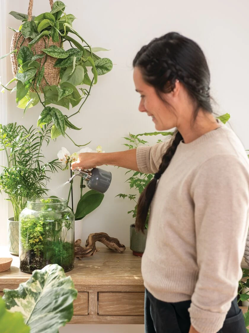 Indoor Plant Mister - Image 6