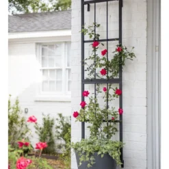 Essex Wall Trellis