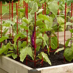 Pepper And Eggplant Stakes, Set Of 3