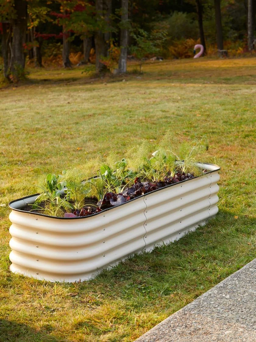 Birdies™ Modular Metal Raised Bed - Image 2