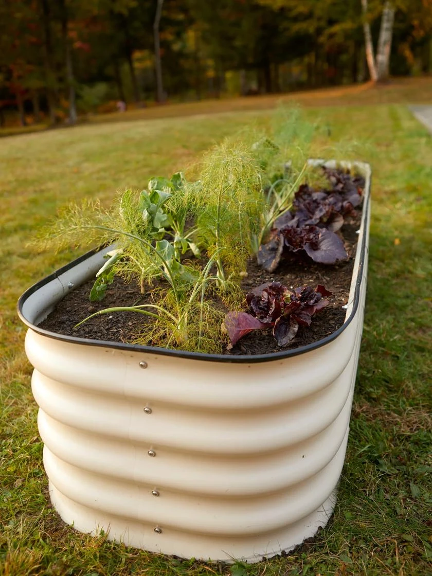 Birdies™ Modular Metal Raised Bed - Image 3