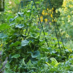 Deluxe Cucumber Trellis
