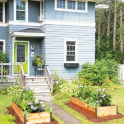 Deep Root Raised Beds, 14" Deep 3' Wide