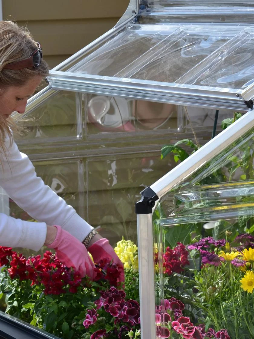 Canopia® By Palram Plant Inn™ Raised Bed Greenhouse, 4' X 4' - Image 12