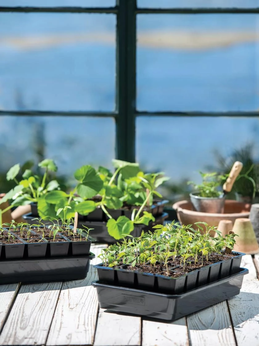 Growease Seed Starter Kit - Image 9