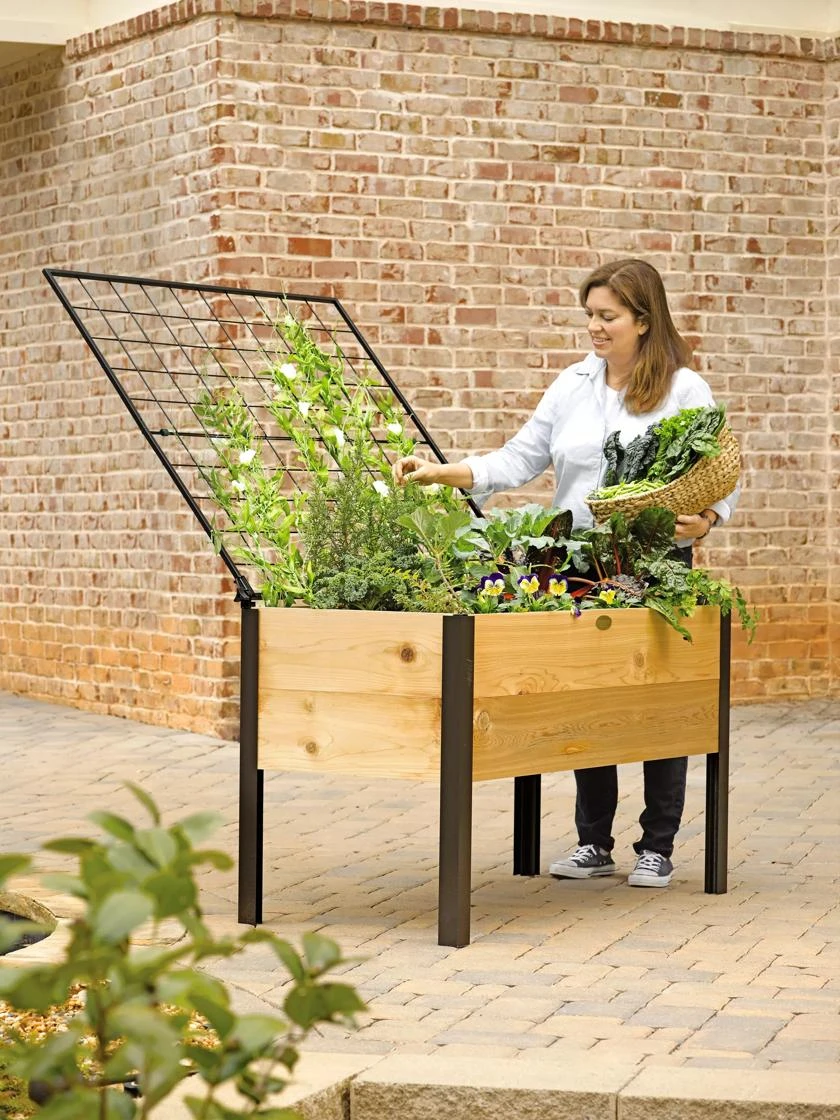 Elevated Planter Box And Space-Maker Pivoting Trellis Set, 2' X 4'