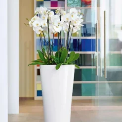 Lechuza® Delta Premium Self-Watering Planters