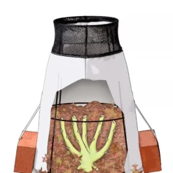 Rosy Cozy® Rose Cone, Large