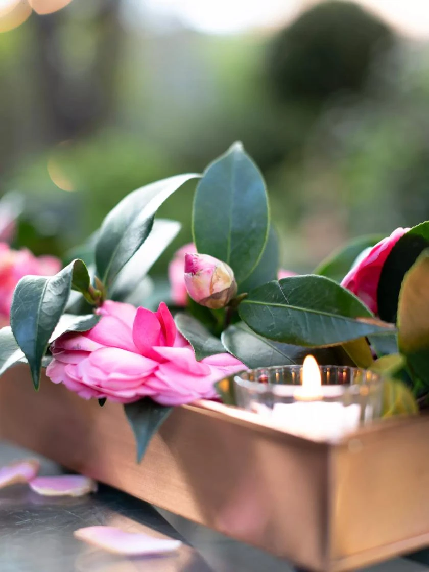 Rectangular Copper Plant Tray, 18"x4" - Image 4