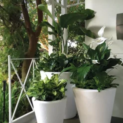 Dot TruDrop Self-Watering Planters