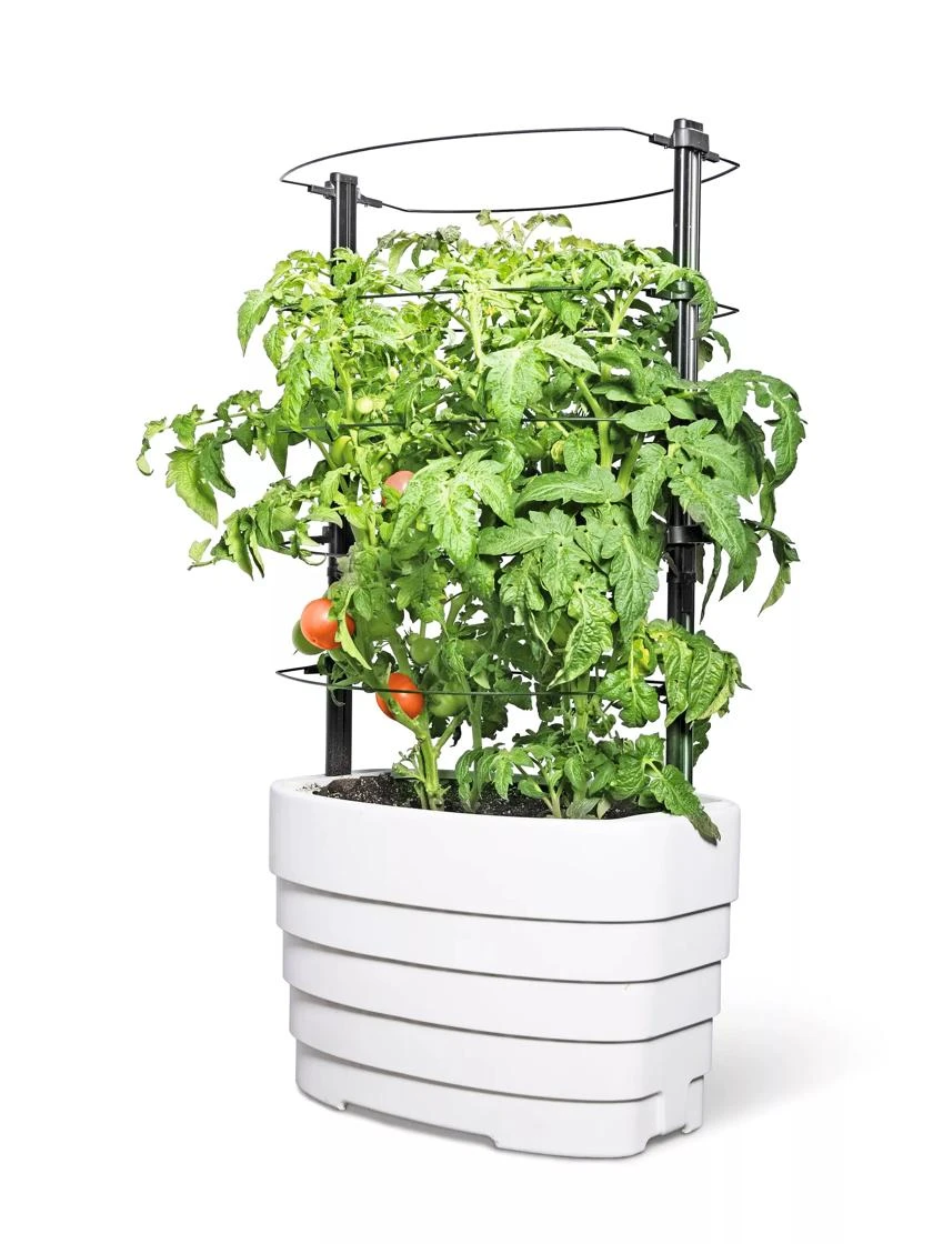 Gardener's Revolution® Classic Tomato Extension - Image 2