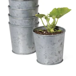 Galvanized Planting Cups, Set Of 5