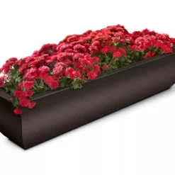 Valencia Window Box, 4'