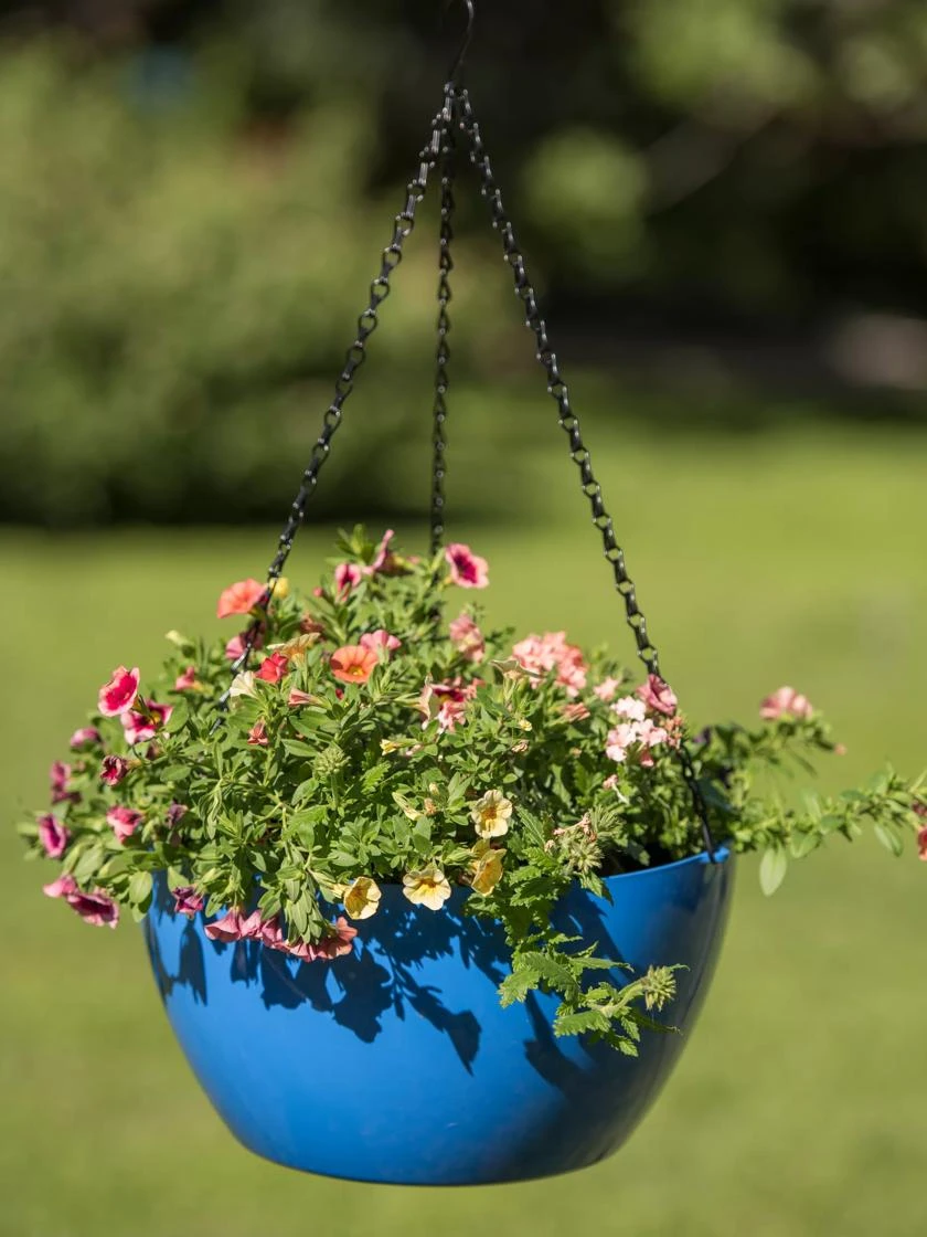 Viva Self-Watering Hanging Basket, 14" Diameter - Image 5