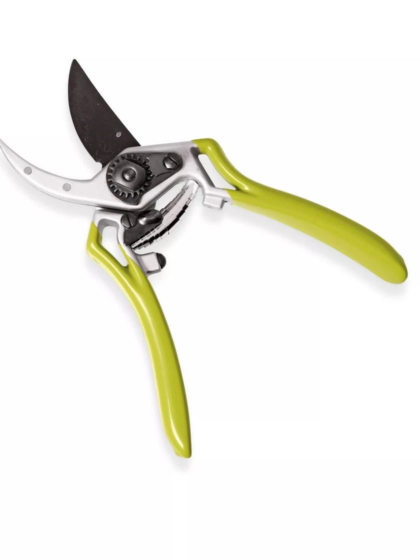 Gardener's Pro Pruner #2 - Image 2