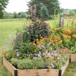 Pollinator Garden Bed