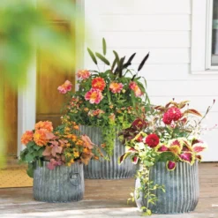 Galvanized Ribbed Planters