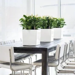 Lechuza® Cube Premium Planters