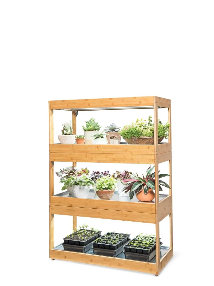 Bamboo LED Grow Light Garden For Succulents And Seeds - Image 7