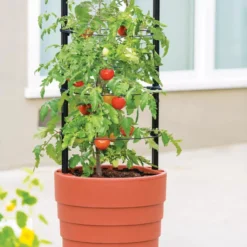 Gardener’s Victory Self-Watering Planter With Support System