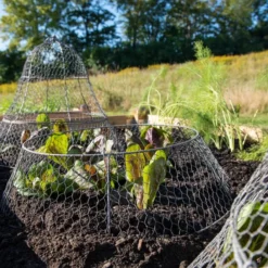 Chicken Wire Cloche Extension