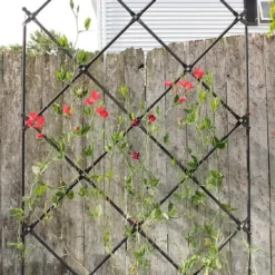 Achla Designs Freestanding Lattice Trellis