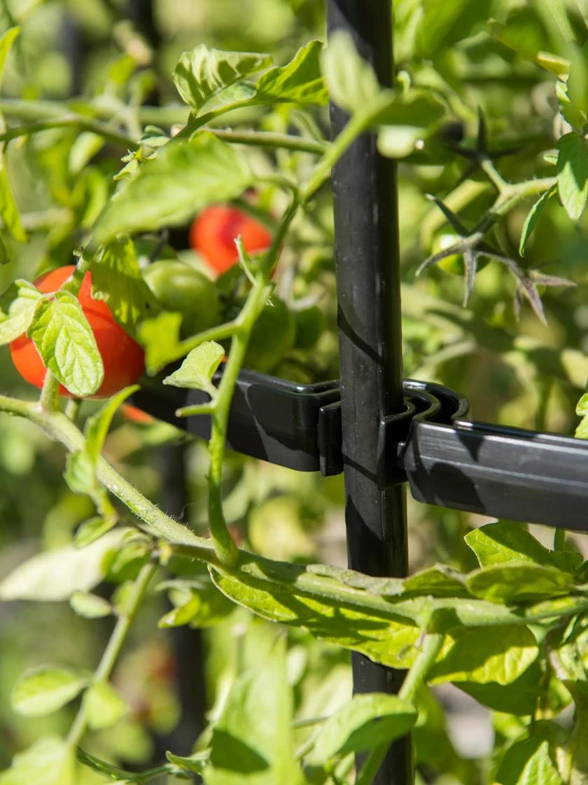 Titan Tall Tomato Cages, Set Of 3 - Image 2