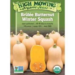 Brulee Butternut Squash Organic Seeds