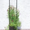 Gardener’s Victory Self-Watering Planter With Vine Trellis