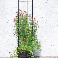 Gardener’s Victory Self-Watering Planter With Vine Trellis