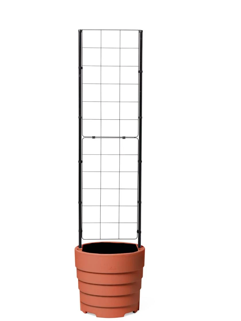 Gardener’s Victory Self-Watering Planter With Vine Trellis - Image 7