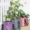 Reinforced Colorful Grow Bags