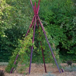 Annabel Tipi Trellis