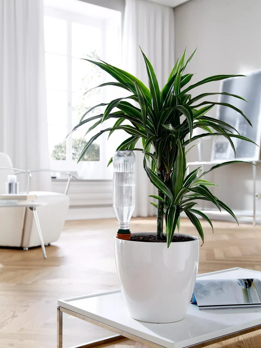 Hydro Wine Container Watering System, Set Of 4 - Image 5