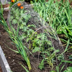 Chicken Wire Row Cloche Expandable Extra Large 3N1