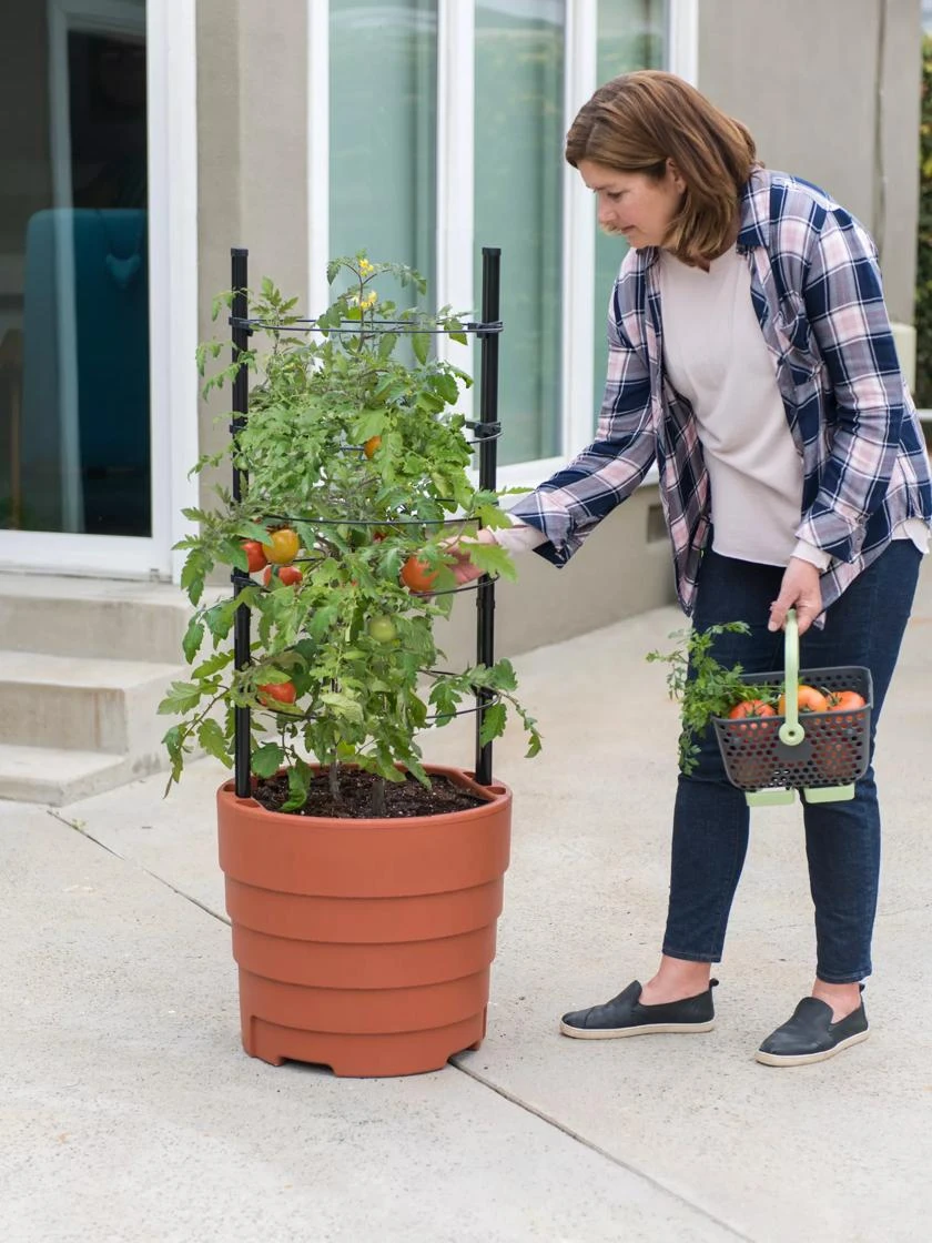 Gardener’s Victory Self-Watering Planter Garden Kit - Image 4