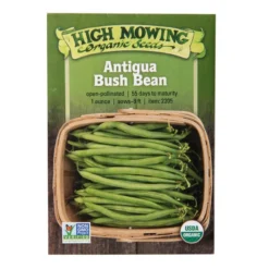 Antigua Bush Bean Organic Seeds