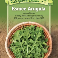 Esmee Arugula Organic Seeds