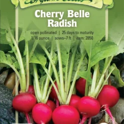 Cherry Belle Radish Organic Seeds