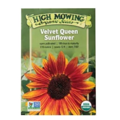 Velvet Queen Sunflower Organic Seeds