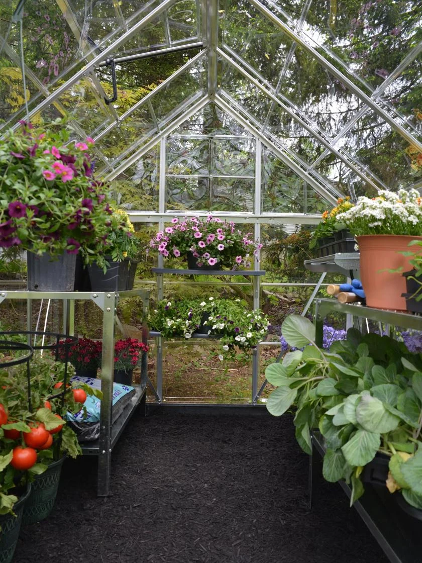 Canopia® By Palram Harmony™ Greenhouse, 6' X 14' - Image 4