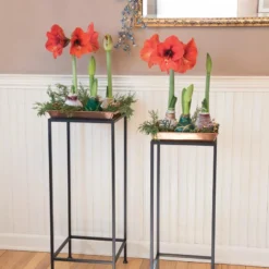 Square Nesting Plant Stands With Trays, Set Of 2