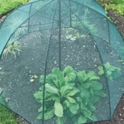GardenSkill Pop N Crop Plant Umbrella