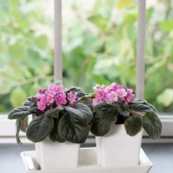 Stoneware Self-Watering Windowsill Planters, Set Of 2