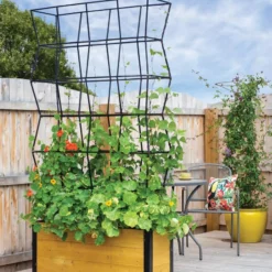 Self-Watering Partition Planter